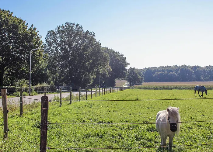 6 Bedroom Lovely In Lunteren