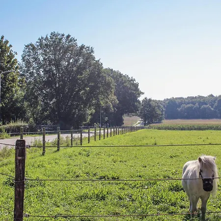 6 Bedroom Lovely In Lunteren